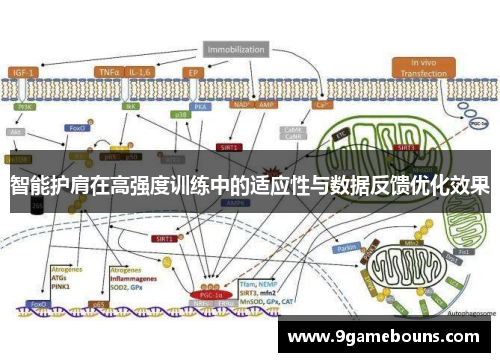 智能护肩在高强度训练中的适应性与数据反馈优化效果